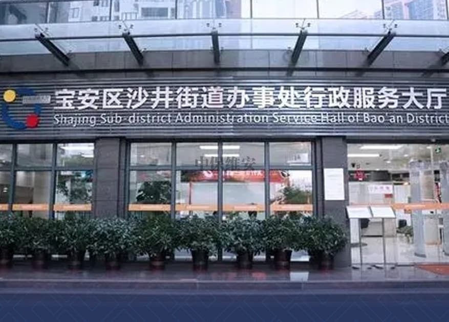 安保人员 安保人员